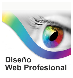 Diseño Web Profesional